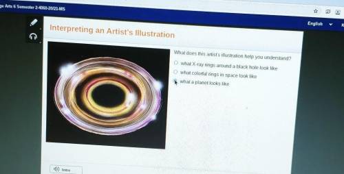 What does this artist's illustration help you understand?
 

O what X-ray rings around a black hole