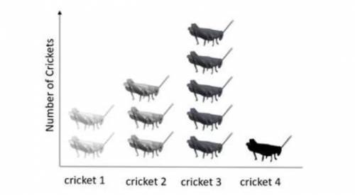 The graph shows the different colors in a population of field crickets.

Which population is best