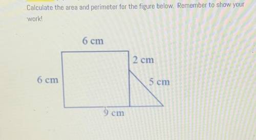 What is the area and perimeter