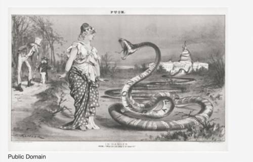 The image below was displayed in Puck magazine in 1881. The caption reads In Danger and Puck—'Wh