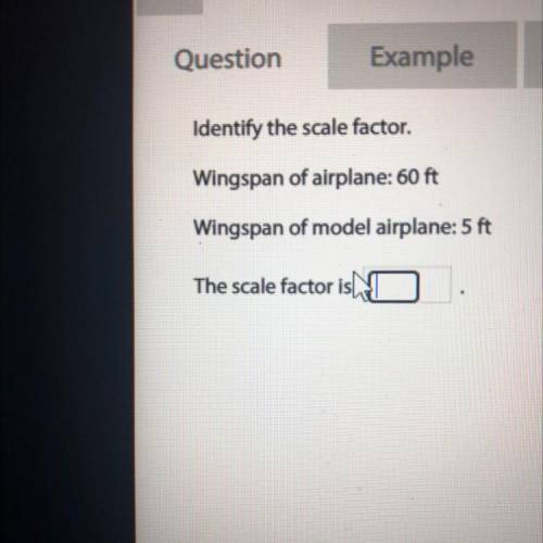 Identify the scale factor.

Wingspan of airplane: 60 ft
Wingspan of model airplane: 5 ft
The scale