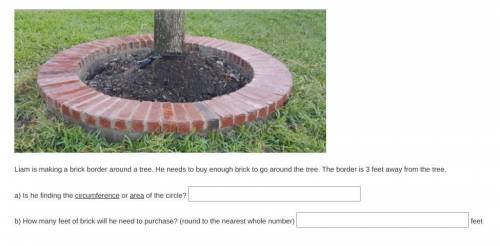 BRAINLIEST FOR BEST ANSWER!!!

Liam is making a brick border around the tree. He needs to buy enou
