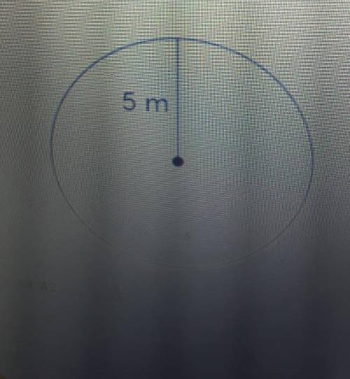 What does the 5m represent in the problem above?

A. Circumference B. Radius C. Diameter D. Area