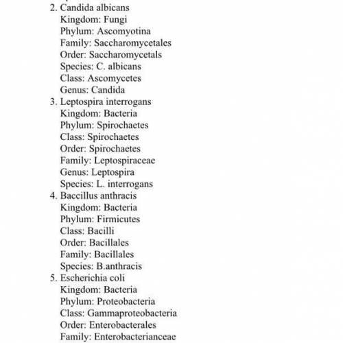 Classify staphylococcus aureus and other organisms 
from Kingdom to species