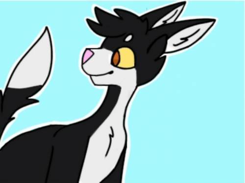What do you guys think of this drawing I made of Talltail/Tallstar from Warrior cats?