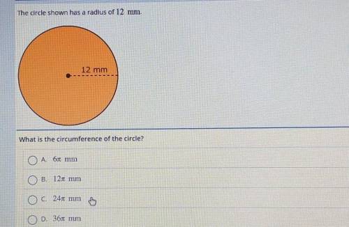 The circle shown has a radius of 12 mm. 12 mm What is the circumference of the circle?

A. 6 mm  B