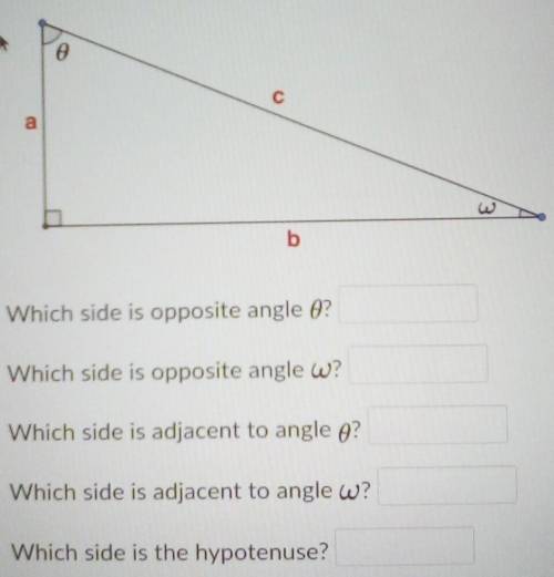 Which side is opposite angle 0? Which side is opposite angle w? I Which side is adjacent to angle o