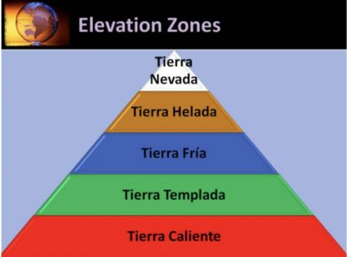 Analyze the image below and answer the question that follows.

A pyramid titled Elevation Zones. F