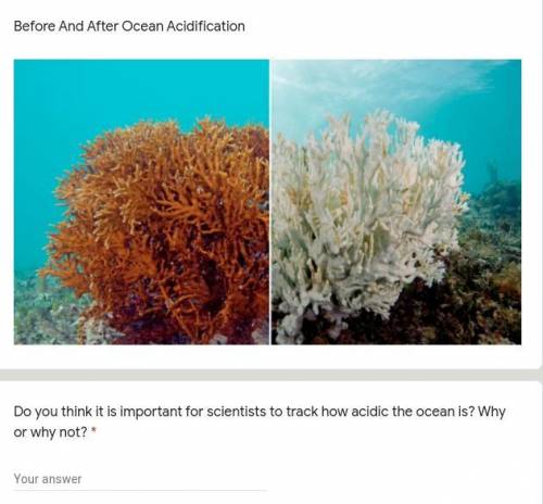 Do you think it is important for scientists to track how acidic the ocean is? Why or why not?