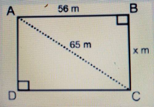 ABCD is a rectangle. What is the value of x? А 56 m 65 m A. 9 meters B. 28 meters C. 33 meters D. 6