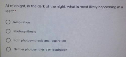 At midnight in the dark of the night, what is most likely happening in a leaf? * O Respiration O Ph
