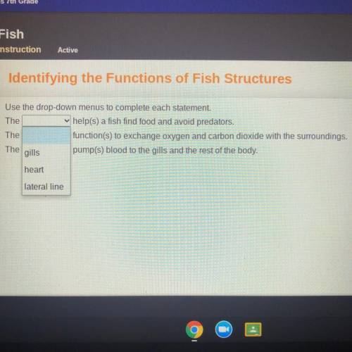 Use the drop-down menus to complete each statement.

The ____
help(s) a fish find food and avoid p