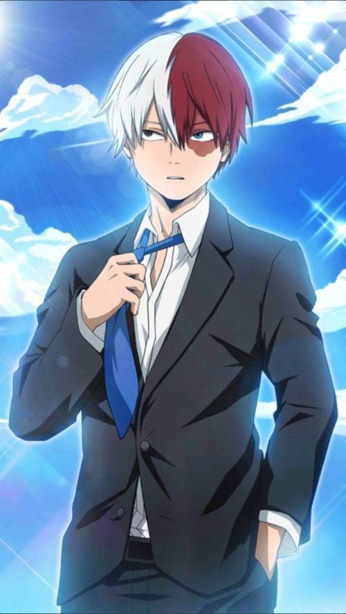 Who here agrees that Todoroki is Hot?