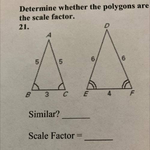 ASAP determine whether the polygons are similar