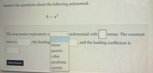 The expression represents a _____ polynomial with ___ terms. The constant term is ___ , the leading