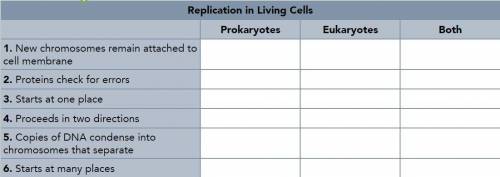 Think about how DNA replication is similar and different in prokaryotes and eukaryotes. Place X's i
