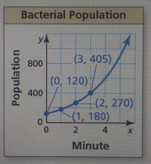 The graph shows the population y of a bacterial colony after x minutes. Identify and interpret the