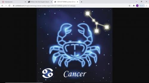 :CANCER
WHO NEXT LIBRA OR CAPRICORN