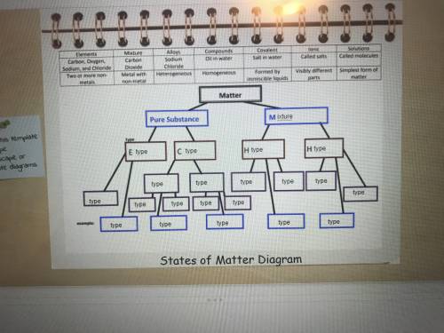 Help please help me fill out this State of Matter diagram.