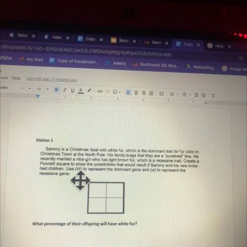 I need help filling in the square and the question on the bottom