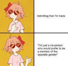 Some trans memes and free points cause why not .w.