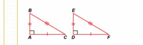 Based only on the information given in the diagram, which congruence theorems or postulates could b