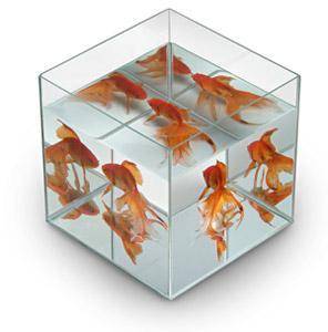 Yo look at how shiny this fish tank is..... I have to use this as a reference for math.