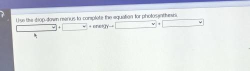 Use the drop-down menus to complete the equation for photosynthesis. + energy, + +