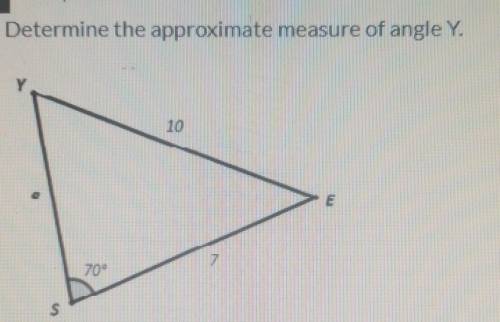 Determine the approximate measure of angle Y.