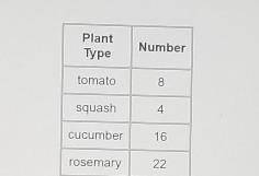 Plant Type Number tomato 8 squash 4 cucumber 16 rosemary 22 he The table above shows the number of