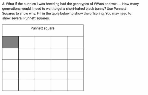 Uhm it's a Punnett square but I am CONFUSED.