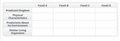 Part A: Collect Data

Question 1
Closely examine each fossil. Then, complete the table to record y