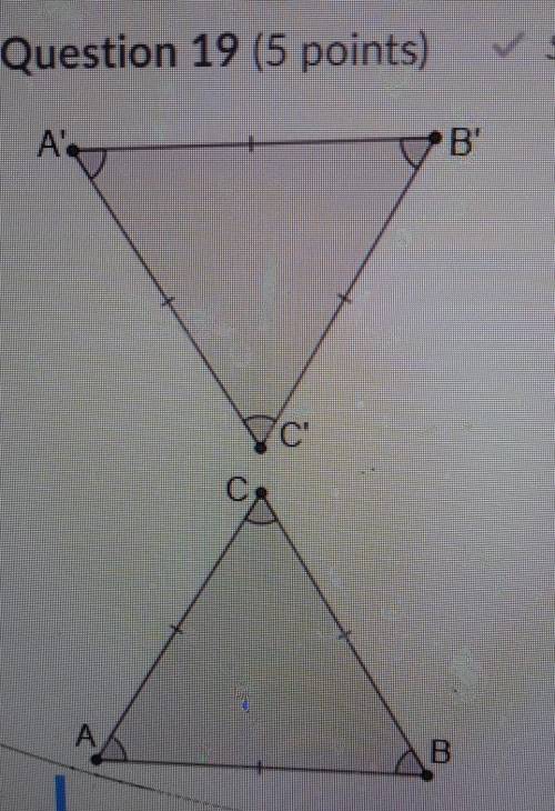 Based on the market of the two triangles what statement should be made about ABC AND .A B C