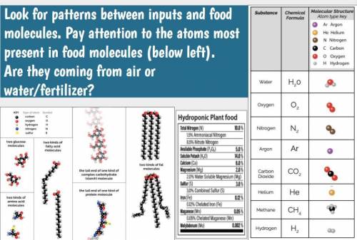 Look for patterns between inputs and food molecules. Pay attention to the atoms most present in foo