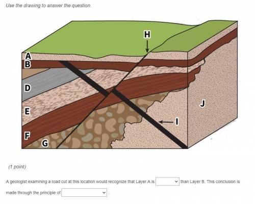 A geologist examining a road cut at this location would recognize that Layer A is

than Layer B. T