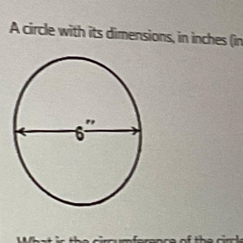 Help! I need to know the circumference of the circle and the area of the half circle! Use 3.14 for