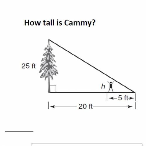 I need help with this problem could someone help with it?