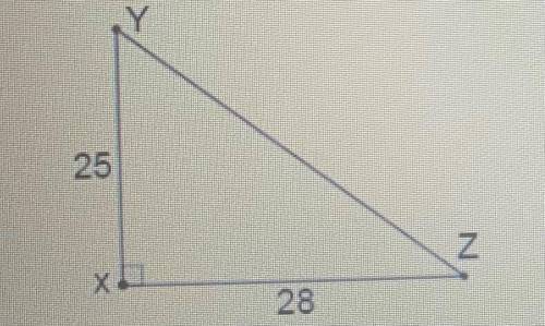 Determine the measure of ∠Z.

Question 5 options:
A) 
41.76°
B) 
13.29°
C) 
87.71°
D) 
48.24°