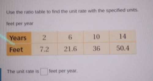 What is the unit rate per year?