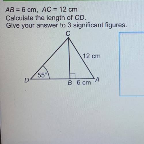 Pls help I don’t understand this question very well