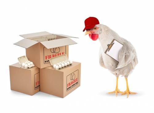 A shipment of eggs contains some cartons with a dozen eggs and some cartons with a half dozen eggs.