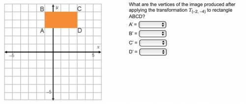 What are the vertices of the image produced after applying the transformation T(–2, –4) to rectangl