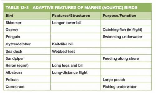 TABLE 13-2 ADAPTIVE FEATURES OF MARINE ( AQUATIC ) BIRDS Bird Features / Structures Purpose /Functi