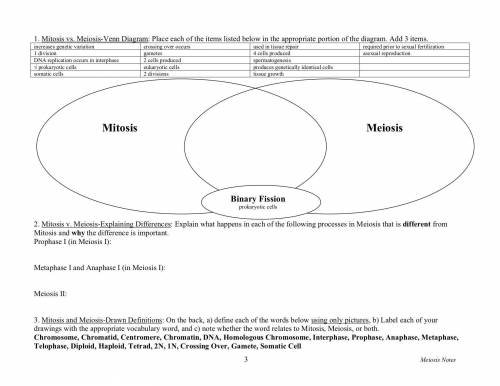 Mitosis bubble answer 1 *

Mitosis bubble answer 2 *
Mitosis bubble answer 3 *
Same for both mitos