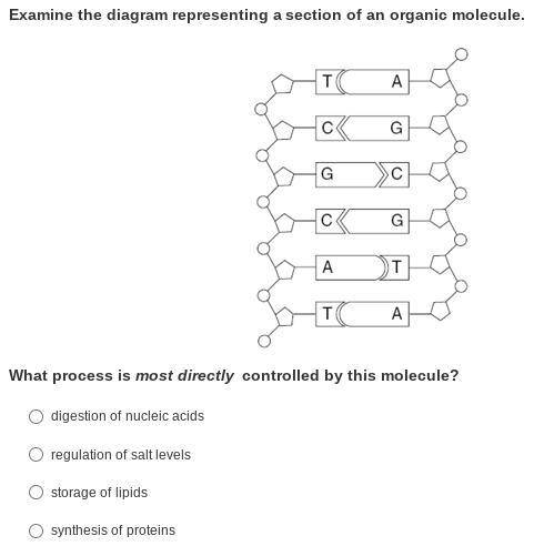 Examine the diagram representing a section of an organic molecule.

What process is most directly