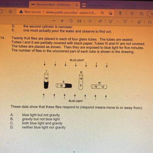I’ve missed this question twice now. Please help