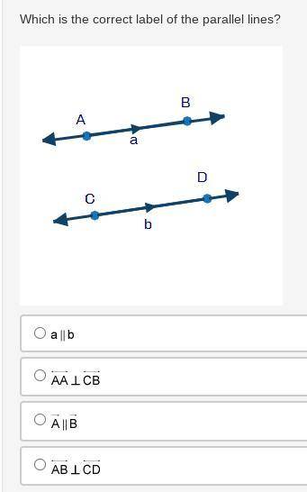 Which is the correct label of the parallel lines?

Parallel lines a and b are shown. Points A and