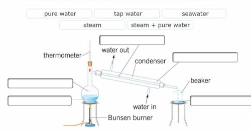 Marcellus is using distillation to obtain pure water from seawater. His apparatus is shown below. P