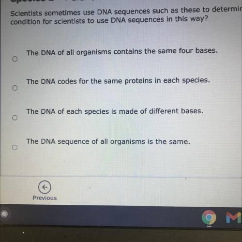 Scientist sometimes use DNA sequences such as these to determine the relatedness of different speci