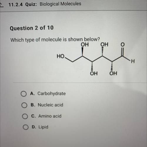 What type of molecule is shown below?